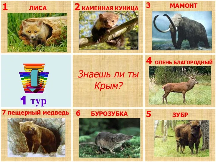 1 тур