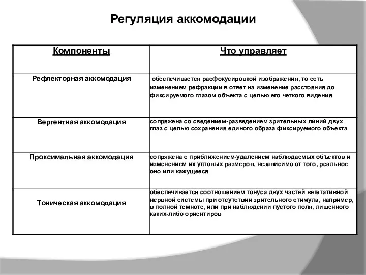 Регуляция аккомодации