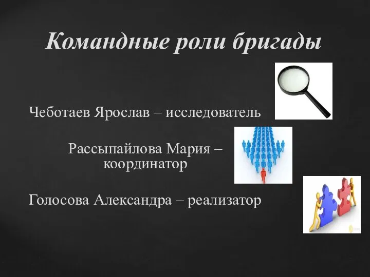 Чеботаев Ярослав – исследователь Рассыпайлова Мария – координатор Голосова Александра – реализатор Командные роли бригады