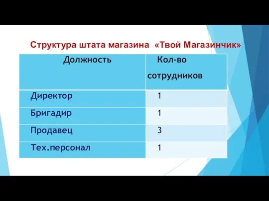 Структура штата магазина «Твой Магазинчик»