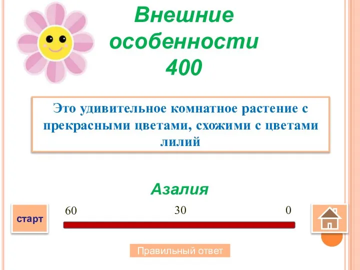 Азалия Это удивительное комнатное растение с прекрасными цветами, схожими с цветами лилий