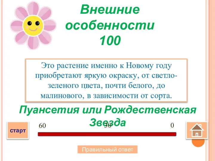 Пуансетия или Рождественская Звезда Это растение именно к Новому году приобретают яркую