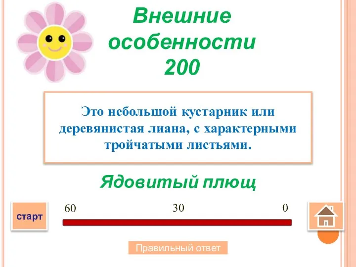 Ядовитый плющ Это небольшой кустарник или деревянистая лиана, с характерными тройчатыми листьями.