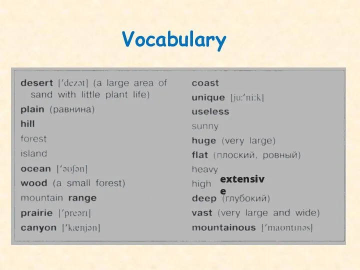 Vocabulary extensive