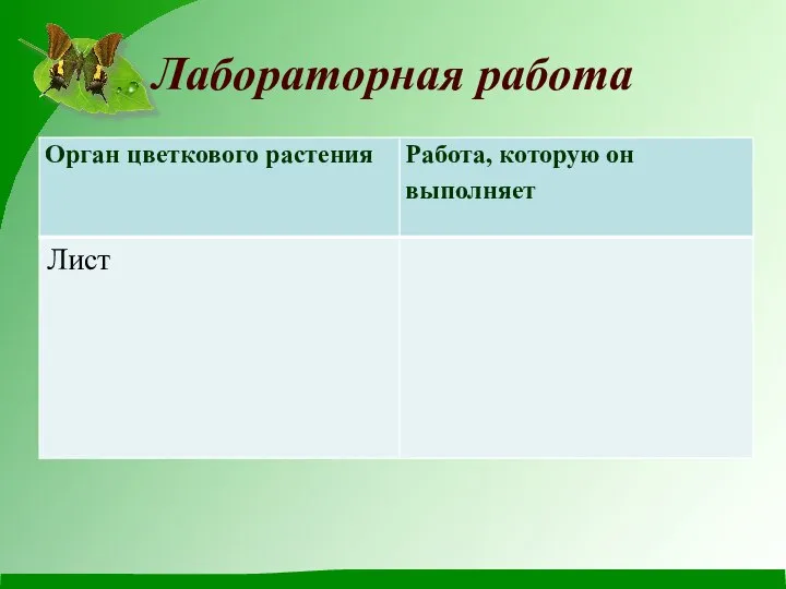 Лабораторная работа