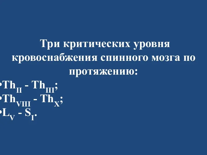 Три критических уровня кровоснабжения спинного мозга по протяжению: ThII - ThIII; ThVIII