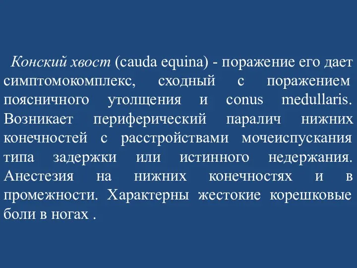 Конский хвост (cauda equina) - поражение его дает симптомокомплекс, сходный с поражением