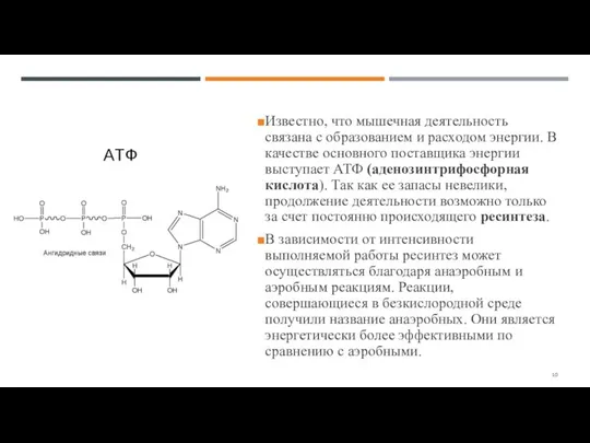 Известно, что мышечная деятельность связана с образованием и расходом энергии. В качестве