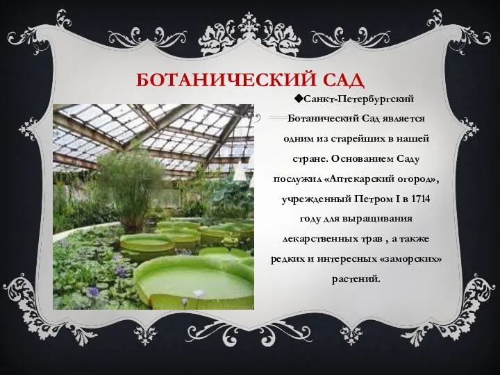 БОТАНИЧЕСКИЙ САД Санкт-Петербургский Ботанический Сад является одним из старейших в нашей стране.