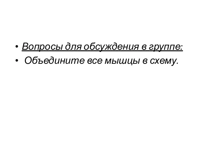 Вопросы для обсуждения в группе: Объедините все мышцы в схему.