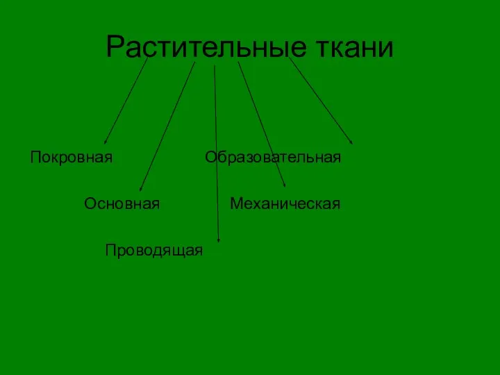 Растительные ткани Покровная Образовательная Основная Механическая Проводящая