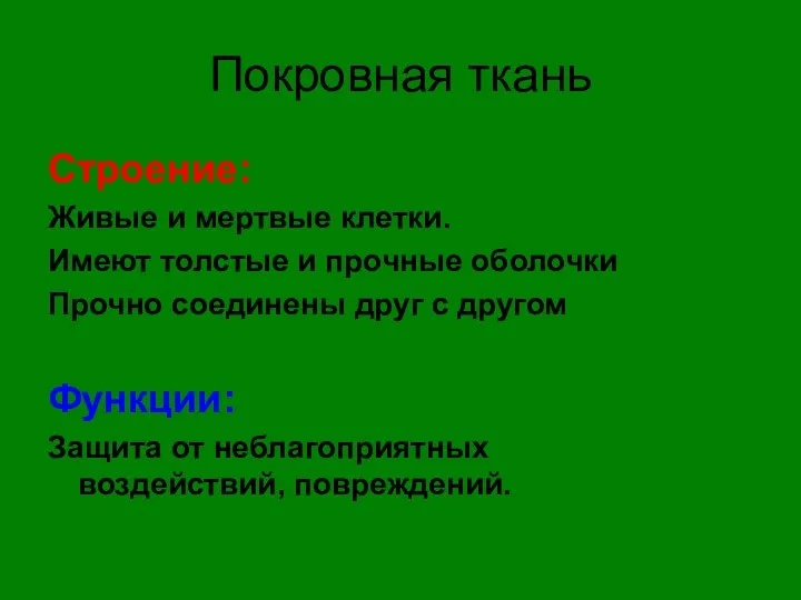 Покровная ткань Строение: Живые и мертвые клетки. Имеют толстые и прочные оболочки