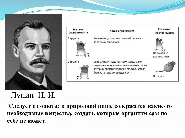 Лунин Н. И. Следует из опыта: в природной пище содержатся какие-то необходимые