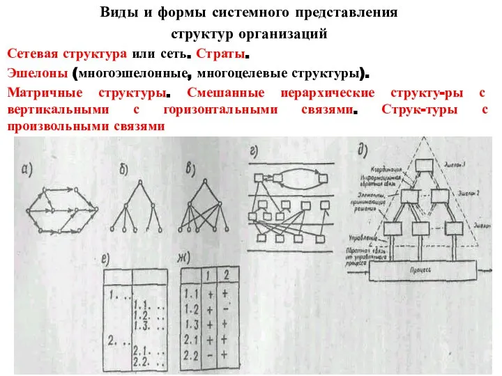 Виды и формы системного представления структур организаций Сетевая структура или сеть. Страты.