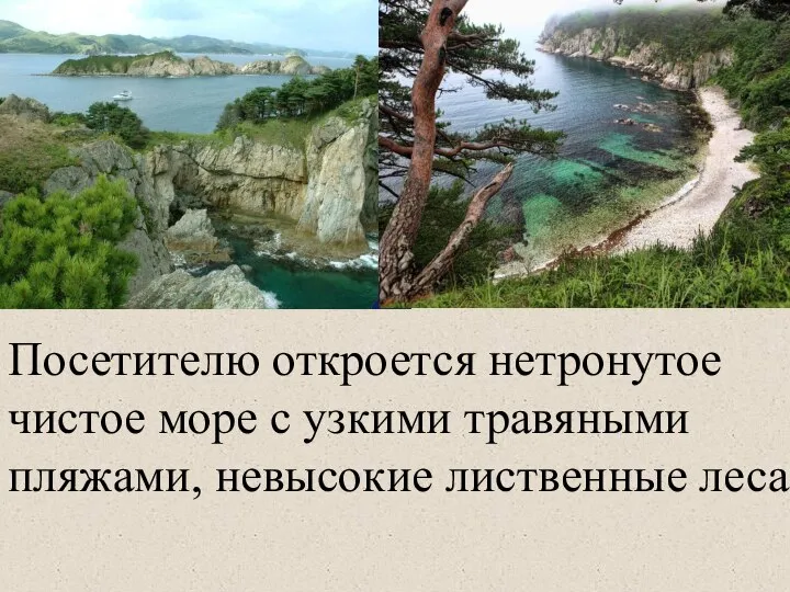 Посетителю откроется нетронутое чистое море с узкими травяными пляжами, невысокие лиственные леса.