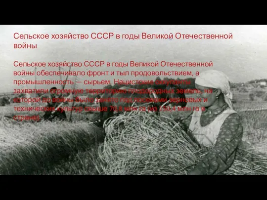 Сельское хозяйство СССР в годы Великой Отечественной войны Сельское хозяйство СССР в