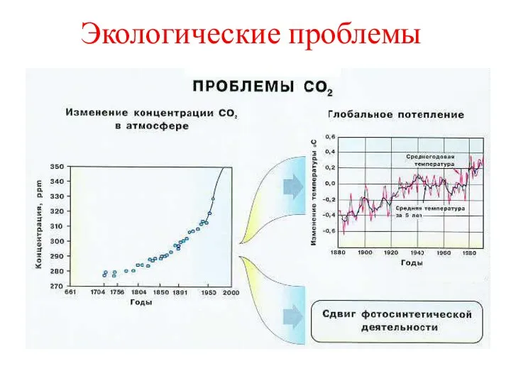 Экологические проблемы