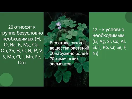 В составе сухого вещества растений обнаружено более 70 химических элементов 20 относят