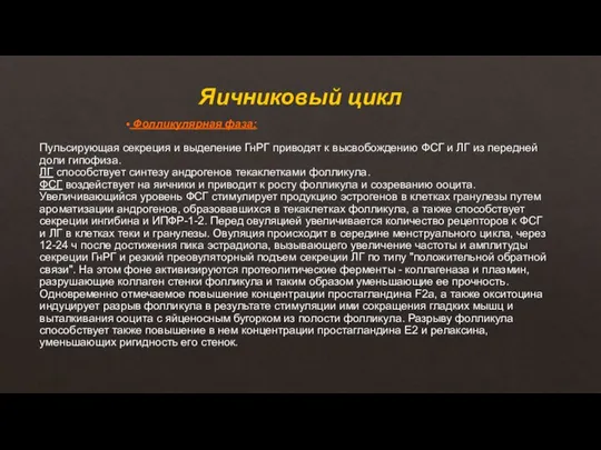 Яичниковый цикл Фолликулярная фаза: Пульсирующая секреция и выделение ГнРГ приводят к высвобождению