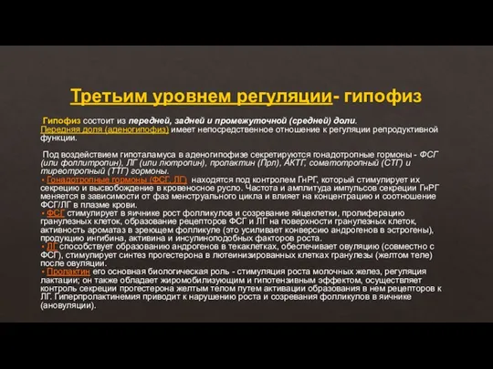 Третьим уровнем регуляции- гипофиз Гипофиз состоит из передней, задней и промежуточной (средней)