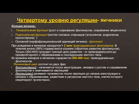 Четвертому уровню регуляции- яичники Функции яичника : Генеративная функция (рост и созревание