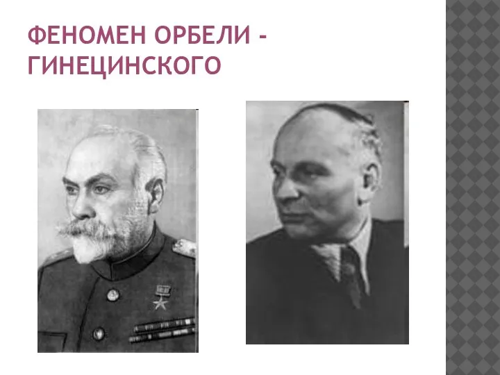 ФЕНОМЕН ОРБЕЛИ - ГИНЕЦИНСКОГО