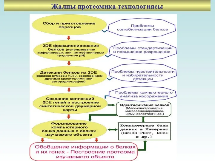 Жалпы протеомика технологиясы