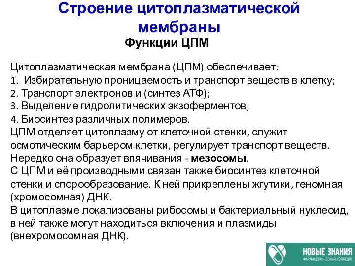 Строение цитоплазматической мембраны Функции ЦПМ Цитоплазматическая мембрана (ЦПМ) обеспечивает: 1. Избирательную проницаемость