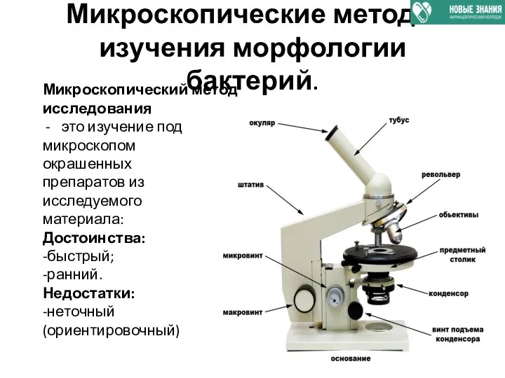 Микроскопические методы изучения морфологии бактерий. Микроскопический метод исследования это изучение под микроскопом