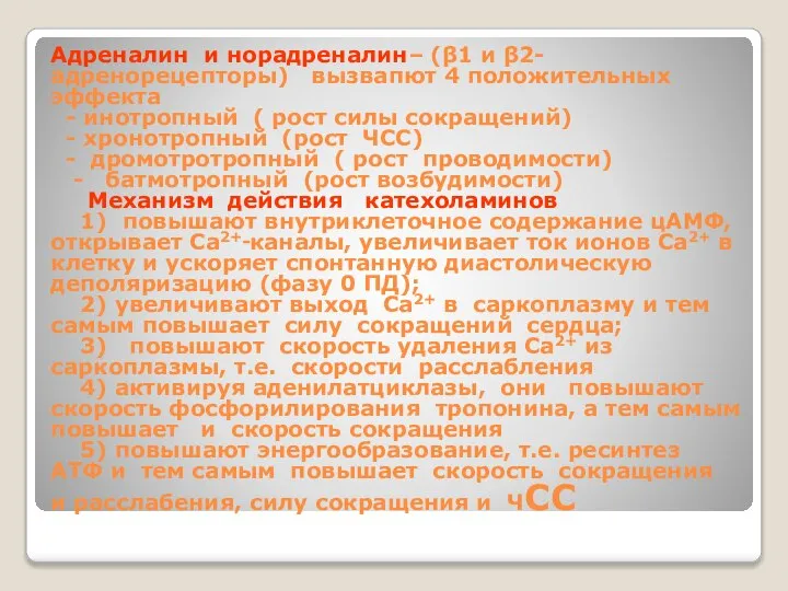 Адреналин и норадреналин– (β1 и β2- адренорецепторы) вызвапют 4 положительных эффекта -