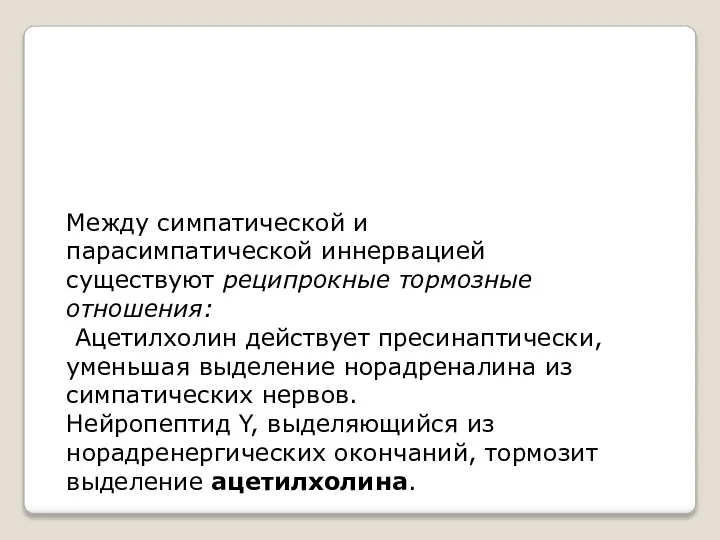 Между симпатической и парасимпатической иннервацией существуют реципрокные тормозные отношения: Ацетилхолин действует пресинаптически,