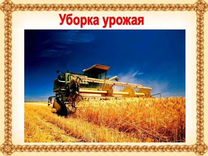 Уборка урожая