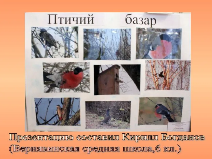 Презентацию составил Кирилл Богданов (Вернявинская средняя школа,6 кл.)