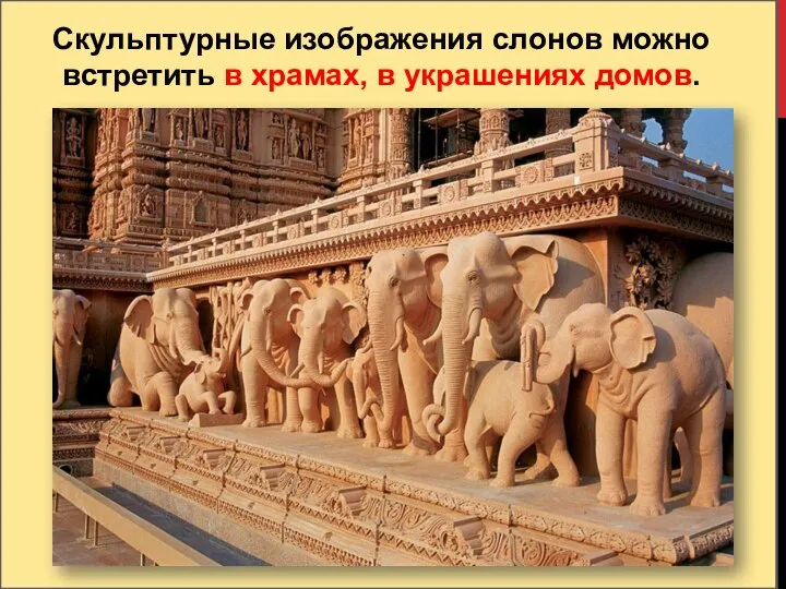 Скульптурные изображения слонов можно встретить в храмах, в украшениях домов.