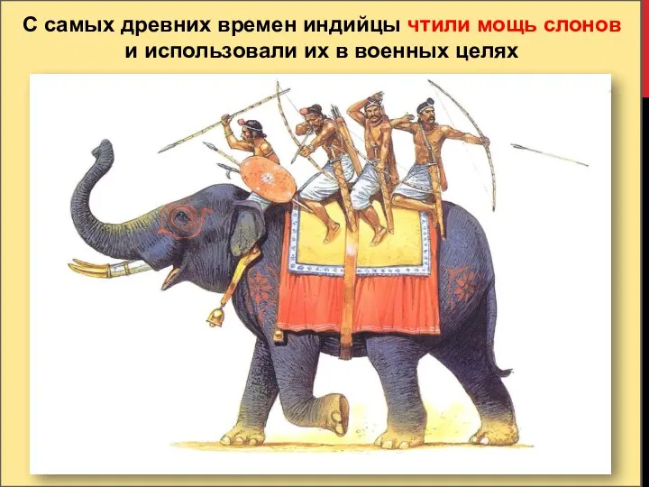 С самых древних времен индийцы чтили мощь слонов и использовали их в военных целях