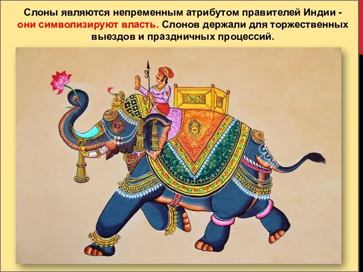 Слоны являются непременным атрибутом правителей Индии - они символизируют власть. Слонов держали