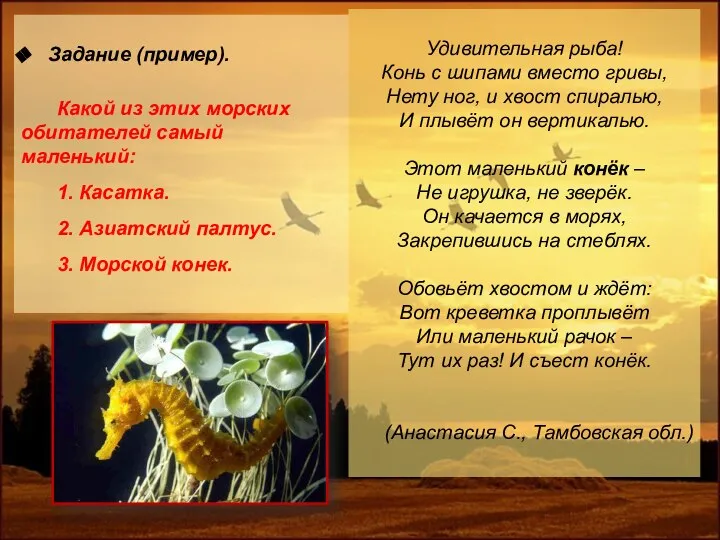 Задание (пример). Какой из этих морских обитателей самый маленький: 1. Касатка. 2.