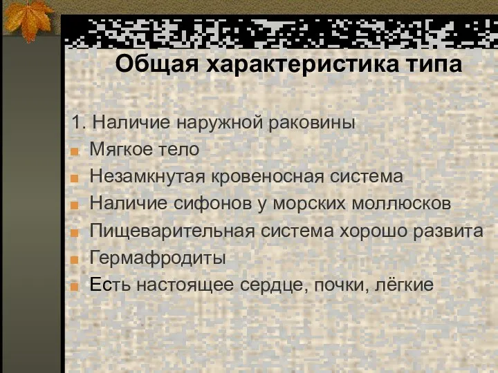 1. Наличие наружной раковины Мягкое тело Незамкнутая кровеносная система Наличие сифонов у