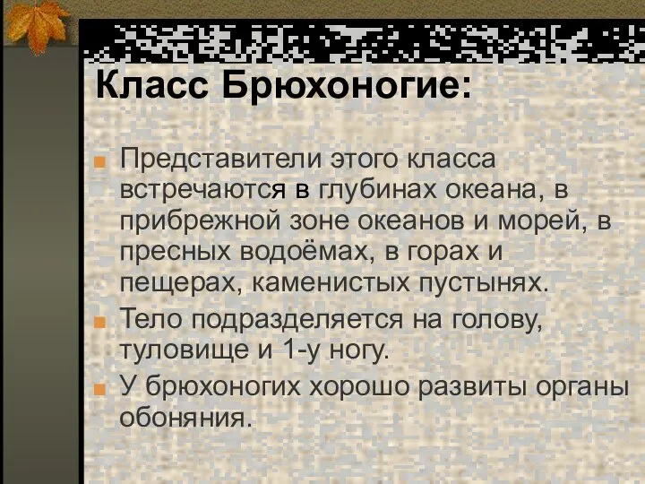 Класс Брюхоногие: Представители этого класса встречаются в глубинах океана, в прибрежной зоне