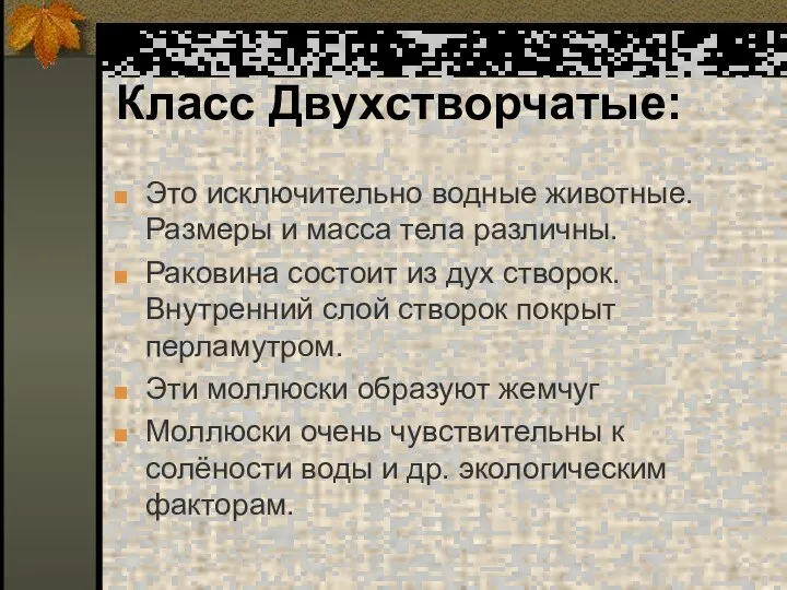 Класс Двухстворчатые: Это исключительно водные животные. Размеры и масса тела различны. Раковина