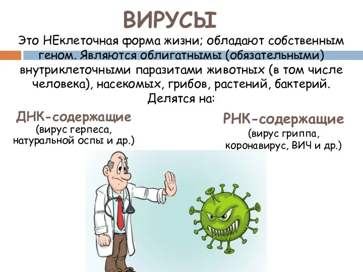 ВИРУСЫ Это НЕклеточная форма жизни; обладают собственным геном. Являются облигатнымы (обязательными) внутриклеточными