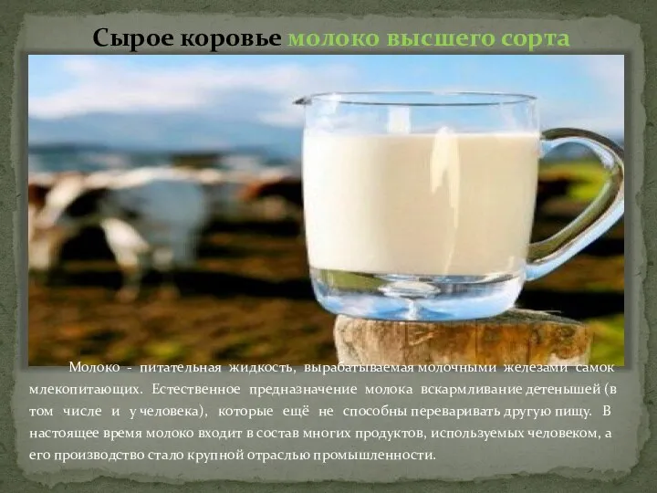 Сырое коровье молоко высшего сорта Молоко - питательная жидкость, вырабатываемая молочными железами