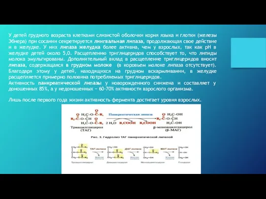 У детей грудного возраста клетками слизистой оболочки корня языка и глотки (железы