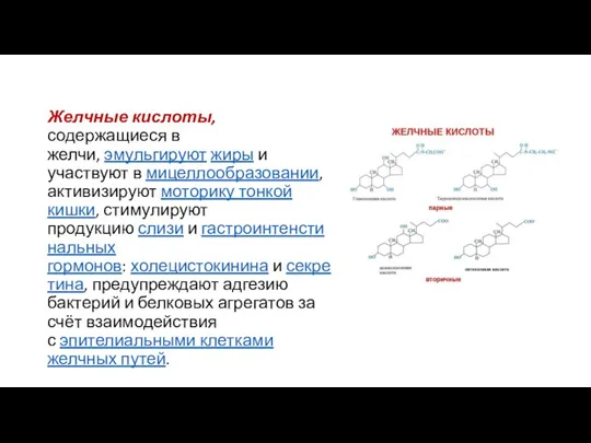 Желчные кислоты, содержащиеся в желчи, эмульгируют жиры и участвуют в мицеллообразовании, активизируют