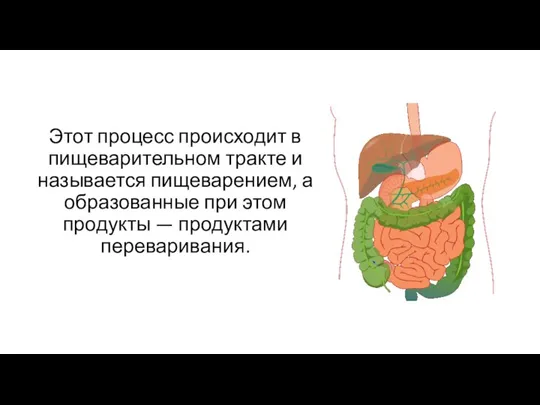 Этот процесс происходит в пищеварительном тракте и называется пищеварением, а образованные при