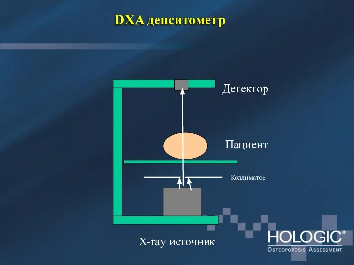 DXA денситометр Детектор X-ray источник Коллиматор Пациент