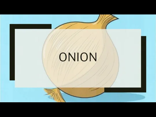 ONION