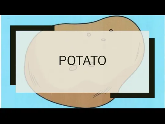 POTATO