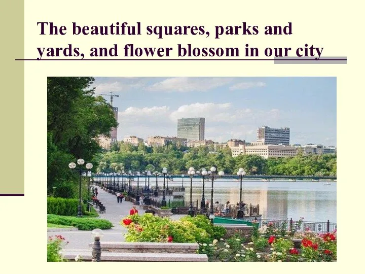The beautiful squares, parks and yards, and flower blossom in our city