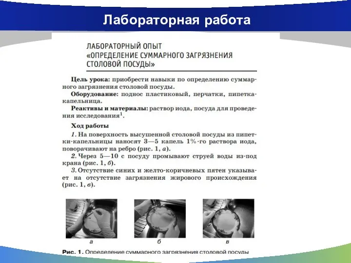 Лабораторная работа